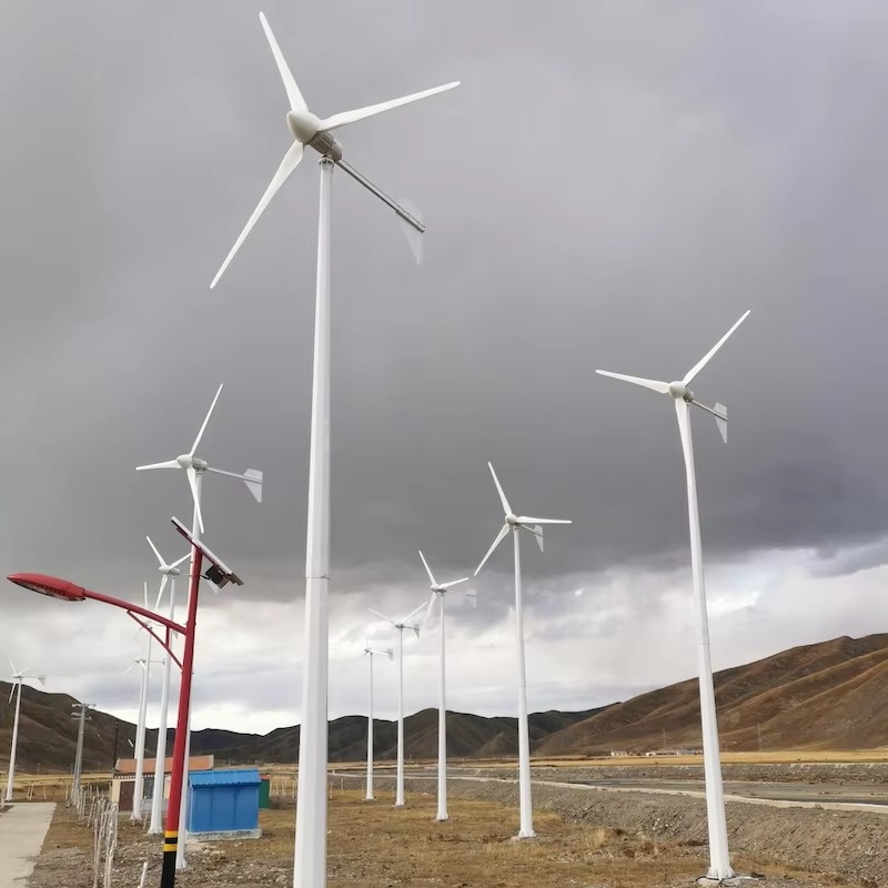 【베스트셀러】가정용 수평형 풍력 터빈 1kw 2kw 3 - Wind Turbine Generator 리뷰 및 가격