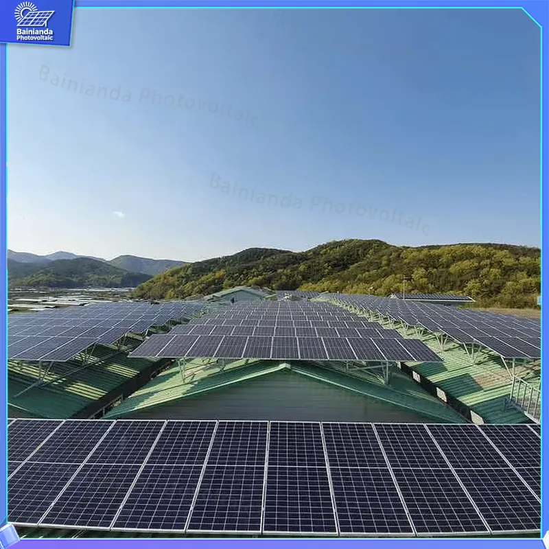 롱기 LR5-72HBD 535W 540W 545W 55 - Longi Panel Lr5 리뷰 및 가격
