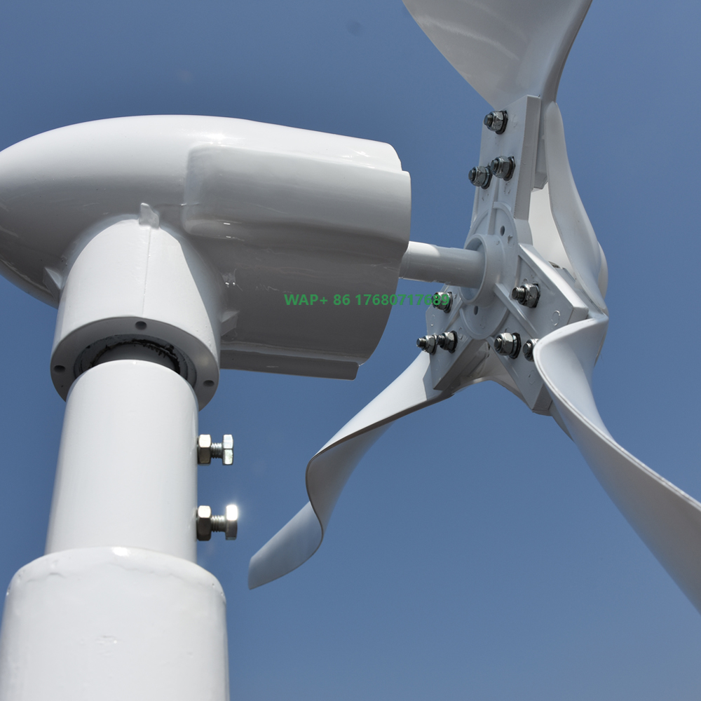 무료 에너지 전문 맞춤형 3000W 5000W 48V  - Wind Turbine Generator 리뷰 및 가격