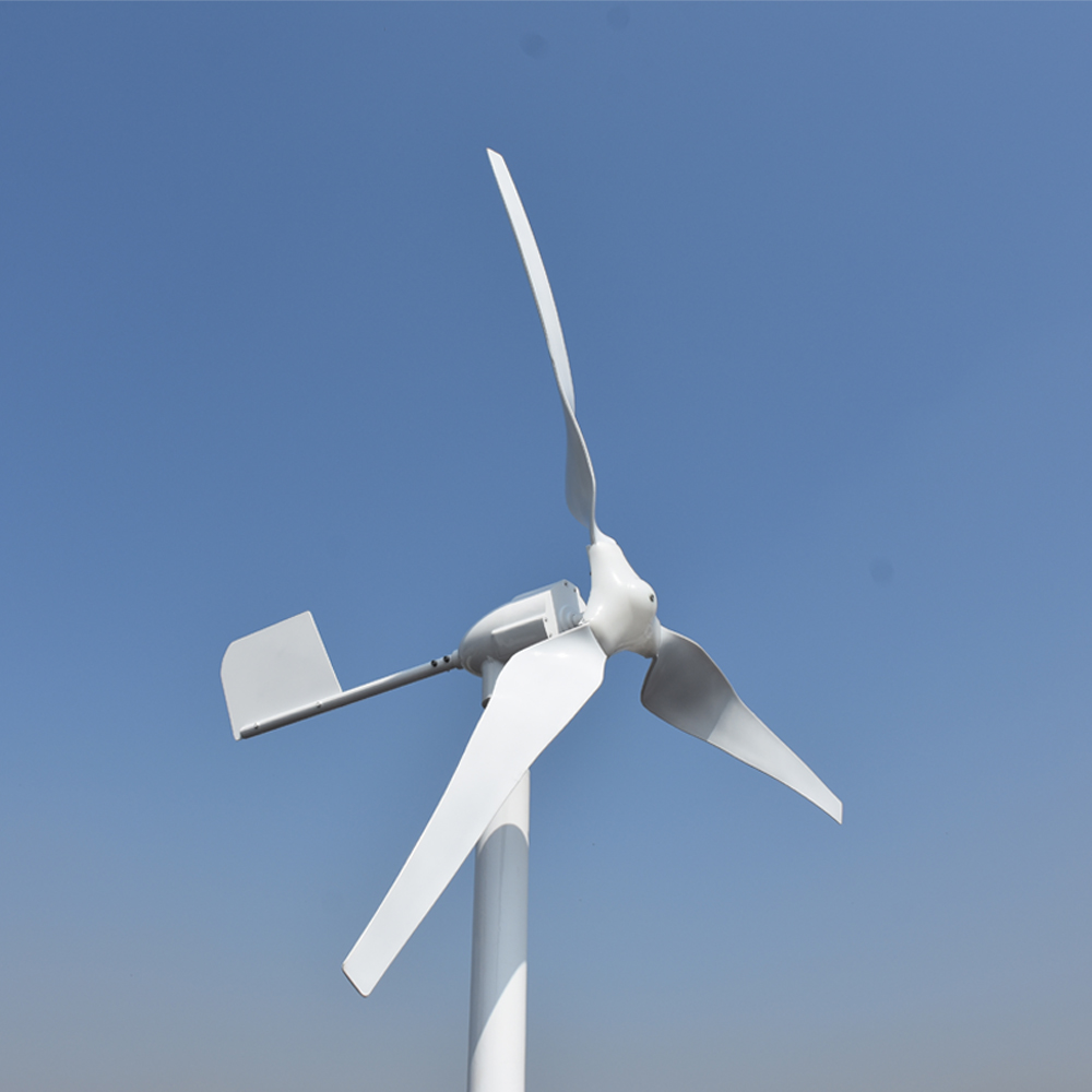 무료 에너지 전문 맞춤형 3000W 5000W 48V  - Wind Turbine Generator 리뷰 및 가격